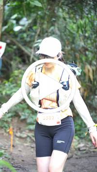 BIB:  <button type="button" onclick="openModal(27824528)" class="btn btn-primary btn-sm float-right" data-toggle="modal" data-target=".modal-high-quality">
                <i class="fa fa-download"></i> Download
                </button>